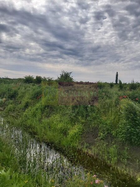 Teren Corbeanca- Drumul Garii Odai.