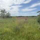 Teren Corbeanca- Drumul Garii Odai